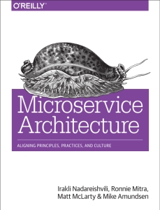 Microservice Architecture Aligning Principles, Practices, and Culture (Irakli Nadareishvili, Ronnie Mitra etc.)（Z-Library）