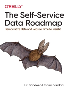 The Self-Service Data Roadmap Democratize Data and Reduce Time to Insight (Sandeep Uttamchandani)（Z-Library）