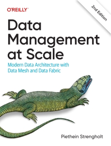 Data Management at Scale Modern Data Architecture with Data Mesh and Data Fabric - 2nd Edition (Piethein Strengholt)（Z-Library）