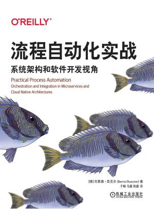 流程自动化实战系统架构和软件开发视角 (【德】贝恩德·吕克尔)（Z-Library）