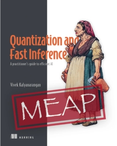 Quantization and Fast Inference MEAP V01 (Vivek Kalyanarangan)（Z-Library）