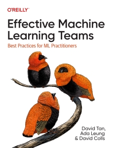 Effective Machine Learning Teams Best Practices for Ml Practitioners (David Tan, Ada Leung, David Colls) (Z-Library)
