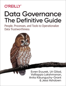 Data Governance The Definitive Guide (Evren Eryurek, Uri Gilad, Valliappa Lakshmanan etc.) (Z-Library)