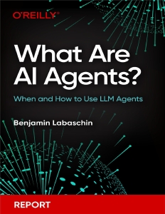 What Are AI Agents (Benjamin Labaschin) (Z-Library)